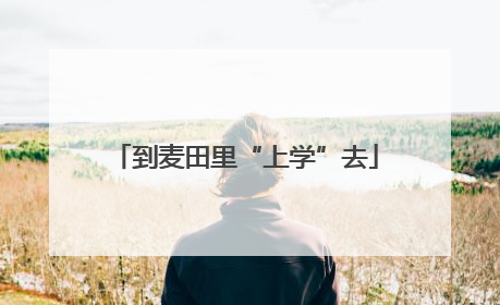 到麦田里“上学”去