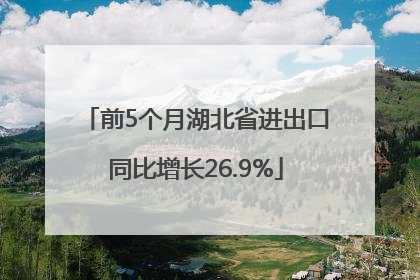 前5个月湖北省进出口同比增长26.9%