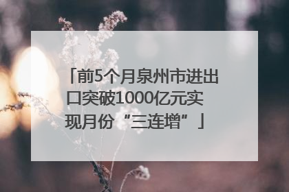 前5个月泉州市进出口突破1000亿元实现月份“三连增”