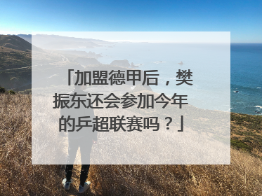 加盟德甲后，樊振东还会参加今年的乒超联赛吗？