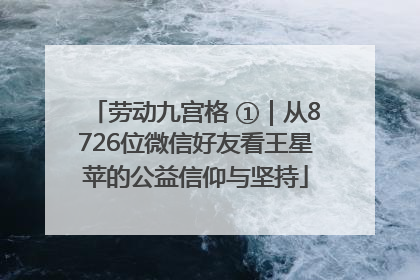 劳动九宫格 ①｜从8726位微信好友看王星苹的公益信仰与坚持