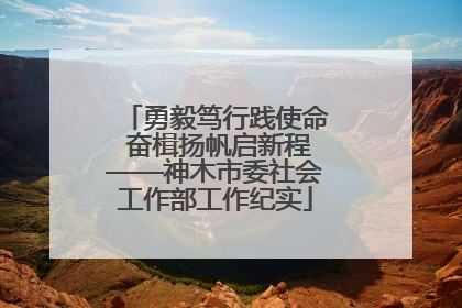 勇毅笃行践使命 奋楫扬帆启新程——神木市委社会工作部工作纪实