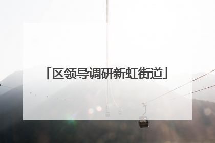 区领导调研新虹街道