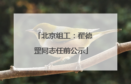 北京组工：翟德罡同志任前公示
