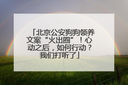 北京公安狗狗领养文案“火出圈”！心动之后，如何行动？我们打听了