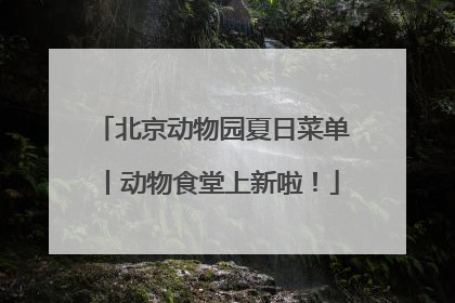 北京动物园夏日菜单丨动物食堂上新啦！