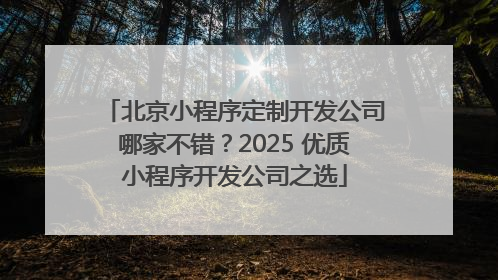 北京小程序定制开发公司哪家不错？2025 优质小程序开发公司之选