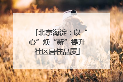 北京海淀：以“心”焕“新”提升社区居住品质