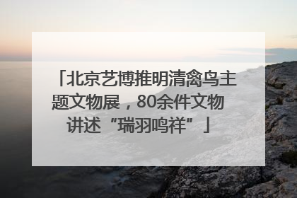 北京艺博推明清禽鸟主题文物展，80余件文物讲述“瑞羽鸣祥”