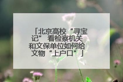 北京高校“寻宝记” 看检察机关和文保单位如何给文物“上户口”