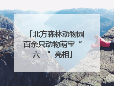北方森林动物园百余只动物萌宝“六一”亮相
