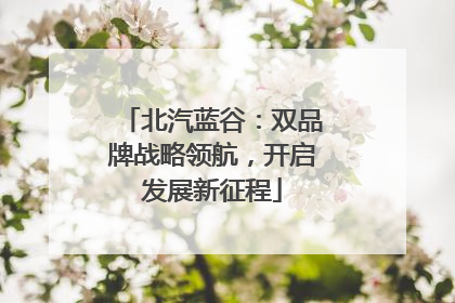北汽蓝谷：双品牌战略领航，开启发展新征程