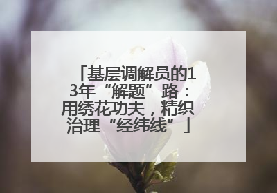 基层调解员的13年“解题”路：用绣花功夫，精织治理“经纬线”