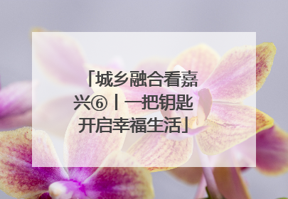 城乡融合看嘉兴⑥丨一把钥匙开启幸福生活