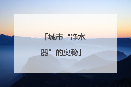 城市“净水器”的奥秘