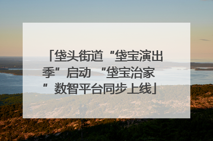 垡头街道“垡宝演出季”启动 “垡宝治家”数智平台同步上线