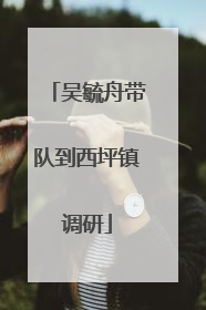 吴毓舟带队到西坪镇调研