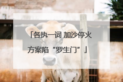 各执一词 加沙停火方案陷“罗生门”