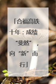合福高铁十年：成绩“斐然”，向“新”而行