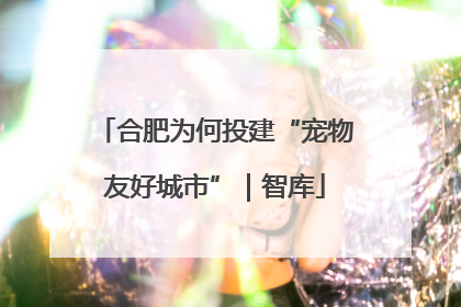 合肥为何投建“宠物友好城市”｜智库