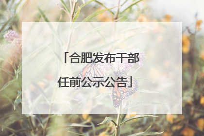 合肥发布干部任前公示公告