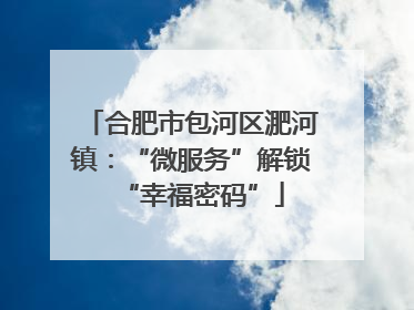 合肥市包河区淝河镇：“微服务”解锁“幸福密码”