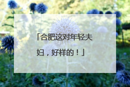 合肥这对年轻夫妇，好样的！