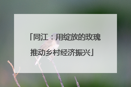 同江：用绽放的玫瑰 推动乡村经济振兴
