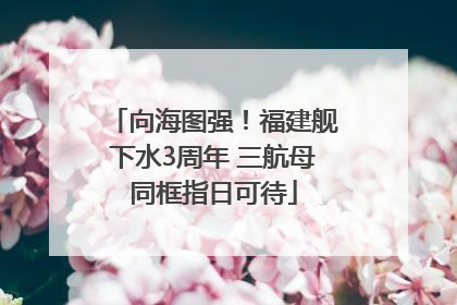 向海图强！福建舰下水3周年 三航母同框指日可待