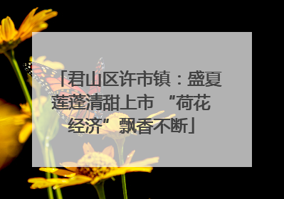 君山区许市镇：盛夏莲蓬清甜上市 “荷花经济”飘香不断