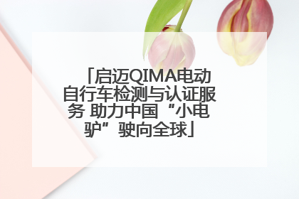 启迈QIMA电动自行车检测与认证服务 助力中国“小电驴”驶向全球