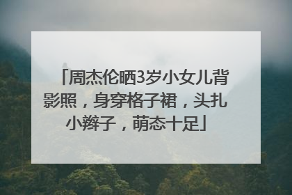 周杰伦晒3岁小女儿背影照，身穿格子裙，头扎小辫子，萌态十足