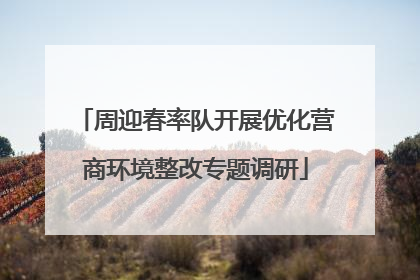 周迎春率队开展优化营商环境整改专题调研