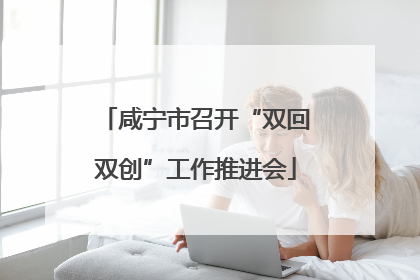 咸宁市召开“双回双创”工作推进会