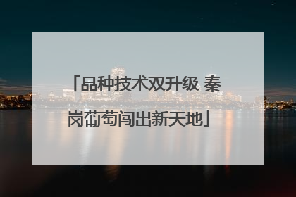 品种技术双升级 秦岗葡萄闯出新天地