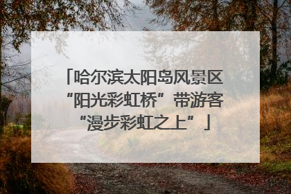 哈尔滨太阳岛风景区“阳光彩虹桥”带游客“漫步彩虹之上”