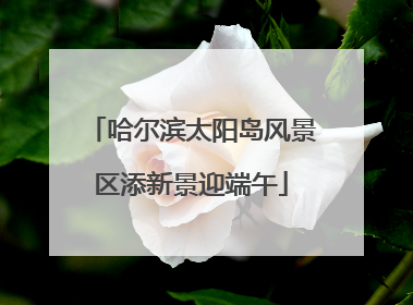 哈尔滨太阳岛风景区添新景迎端午