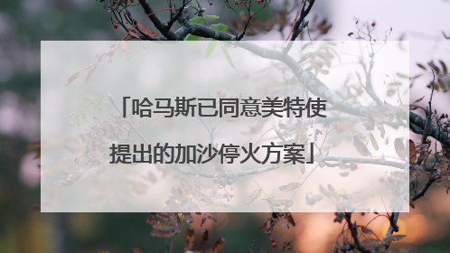 哈马斯已同意美特使提出的加沙停火方案
