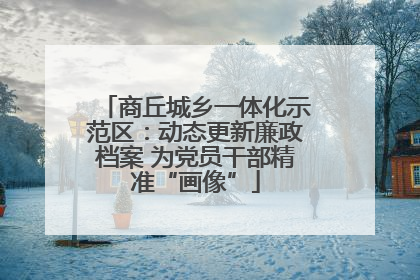商丘城乡一体化示范区：动态更新廉政档案 为党员干部精准“画像”