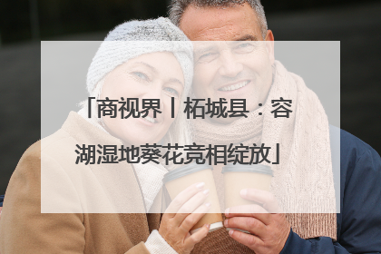 商视界丨柘城县：容湖湿地葵花竞相绽放