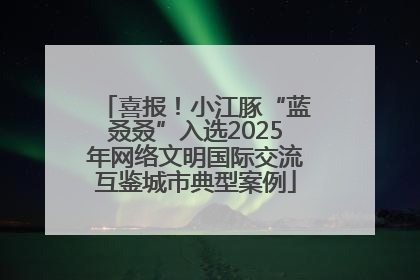 喜报！小江豚“蓝叒叒”入选2025年网络文明国际交流互鉴城市典型案例