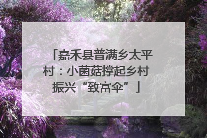 嘉禾县普满乡太平村：小菌菇撑起乡村振兴“致富伞”