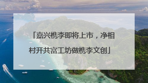 嘉兴槜李即将上市，净相村开共富工坊做槜李文创