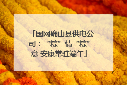 国网确山县供电公司：“粽”情“粽”意 安康常驻端午