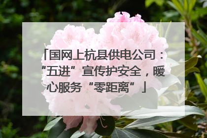 国网上杭县供电公司：“五进”宣传护安全，暖心服务“零距离”