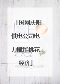 国网庆阳供电公司电力赋能桃花经济