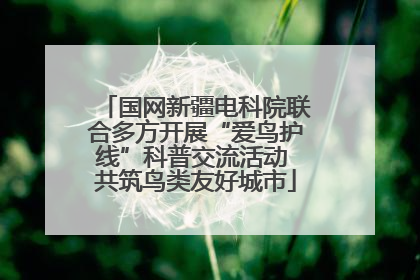 国网新疆电科院联合多方开展“爱鸟护线”科普交流活动 共筑鸟类友好城市
