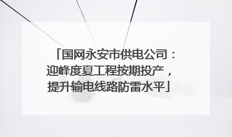 国网永安市供电公司：迎峰度夏工程按期投产，提升输电线路防雷水平