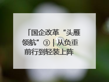 国企改革“头雁领航”③｜从负重前行到轻装上阵 重庆以“瘦身”谋“健体”