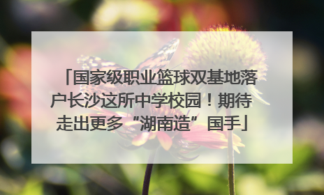 国家级职业篮球双基地落户长沙这所中学校园！期待走出更多“湖南造”国手